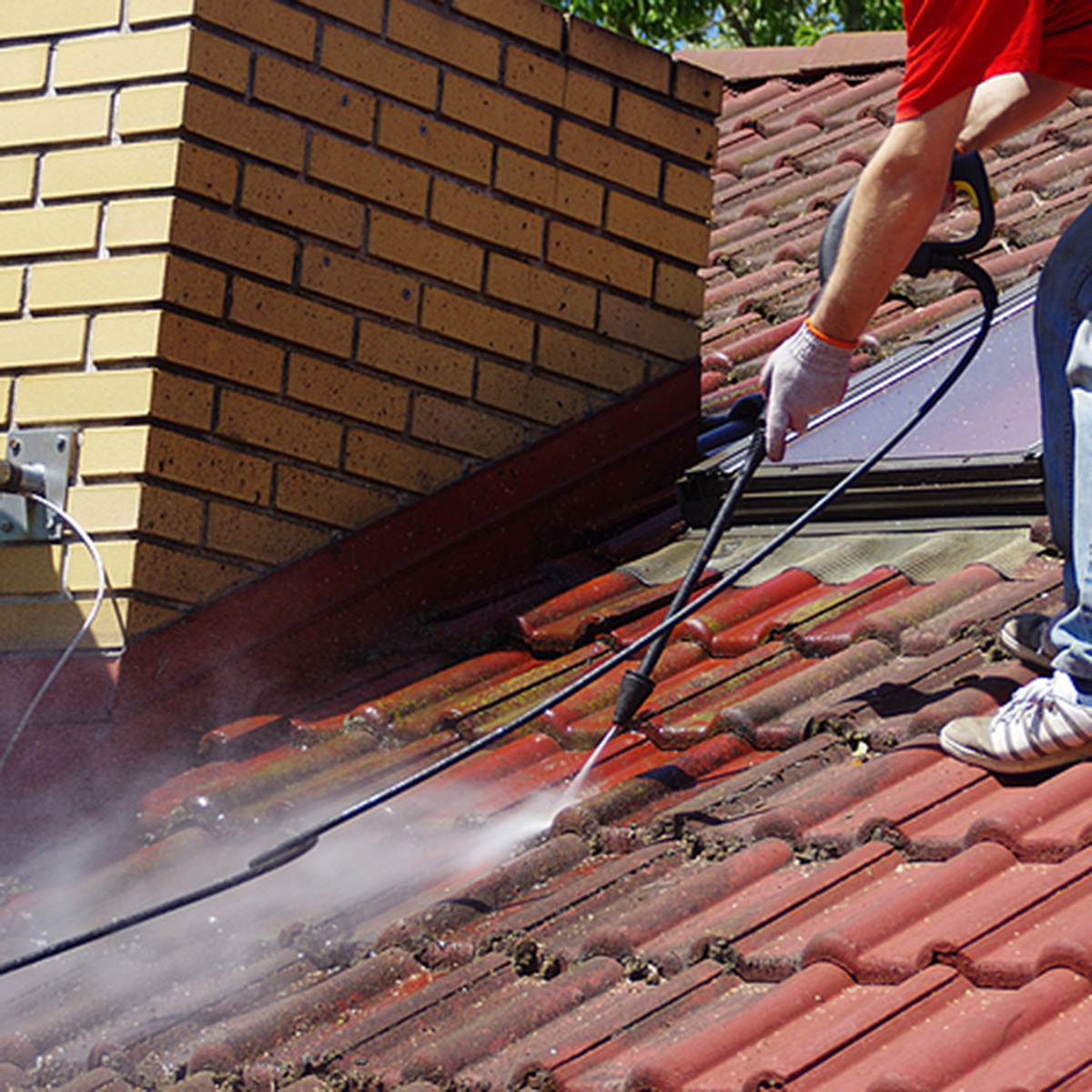 Professional roof cleaning in Riverview & Auburndale, FL