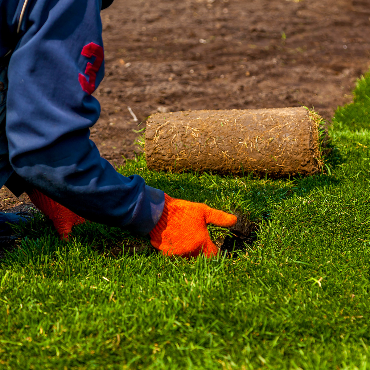 Replacing damaged grass with sod in Apollo Beach & Bartow, FL