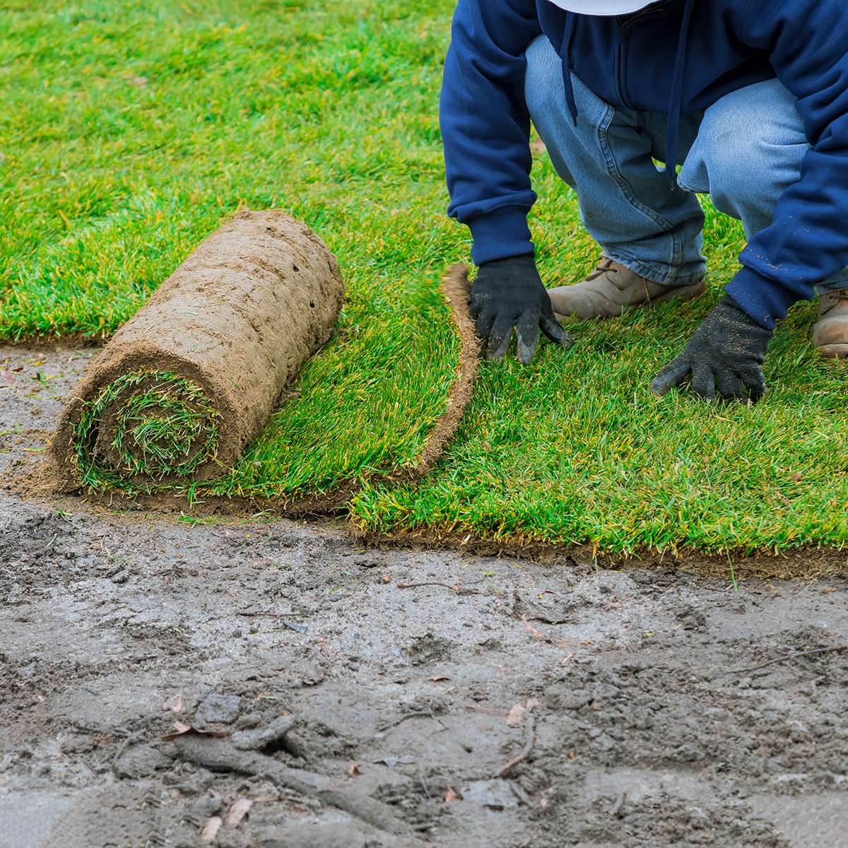 We install and lay sod in Ruskin & Dade City, FL