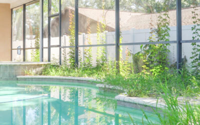 Paver cleaning in Plant City, FL