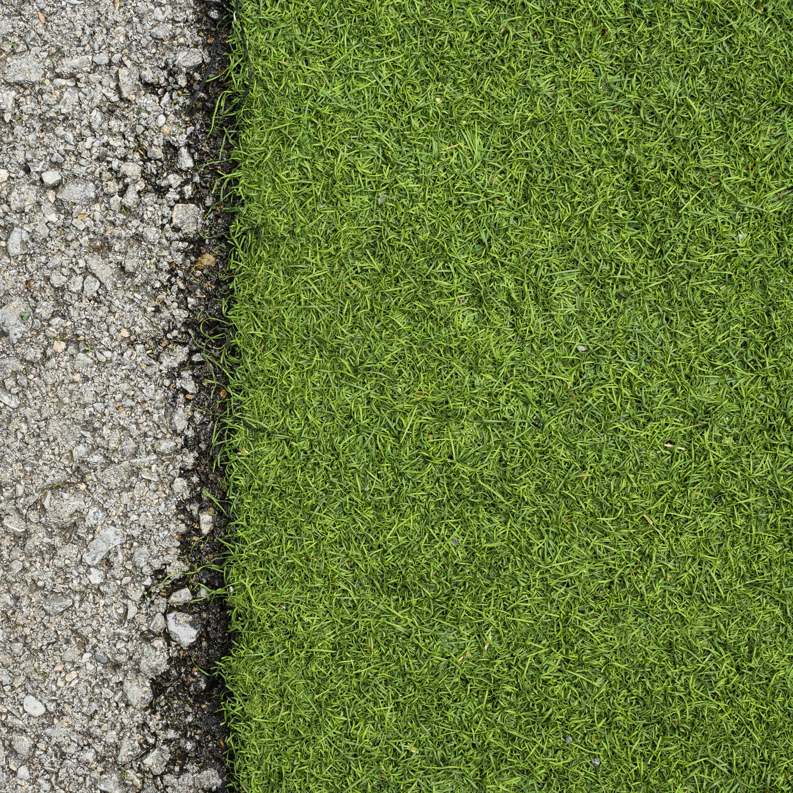 Sod installs in Zephyrhills, FL
