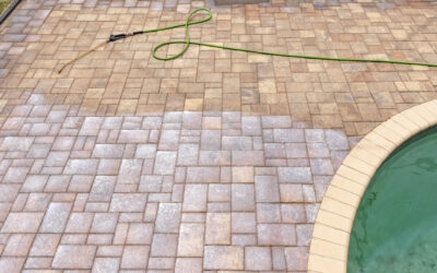 paver restoration and cleaning in Valrico, FL
